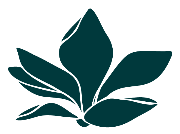 carolina-charm-magnolia-dkgreen